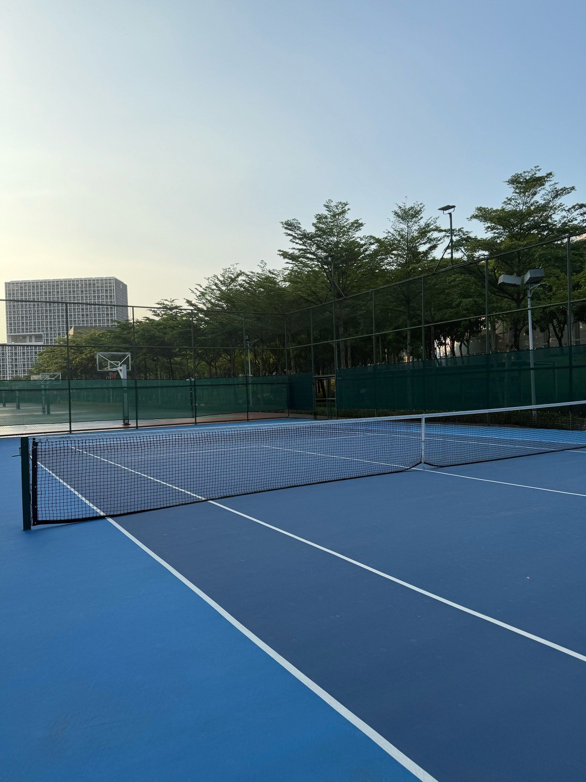 观赛体验的 观赛体验的