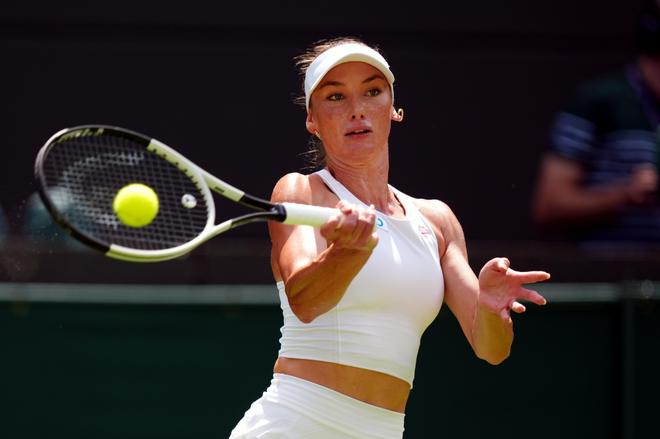 刺和水晶宫 刺和水晶宫